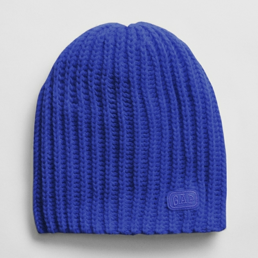 NWT GAP Kids Blue Ribbed Beanie Hat
